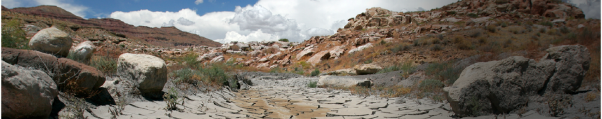 Dry riverbed in the desert.
